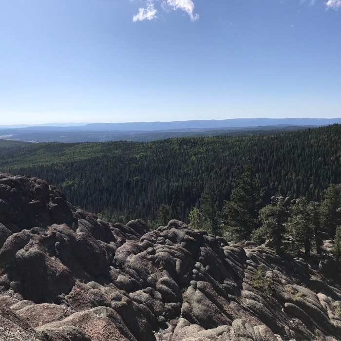 Near East Baldy Trail #95B