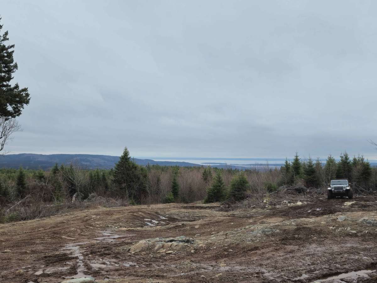 Moosebog photo 3