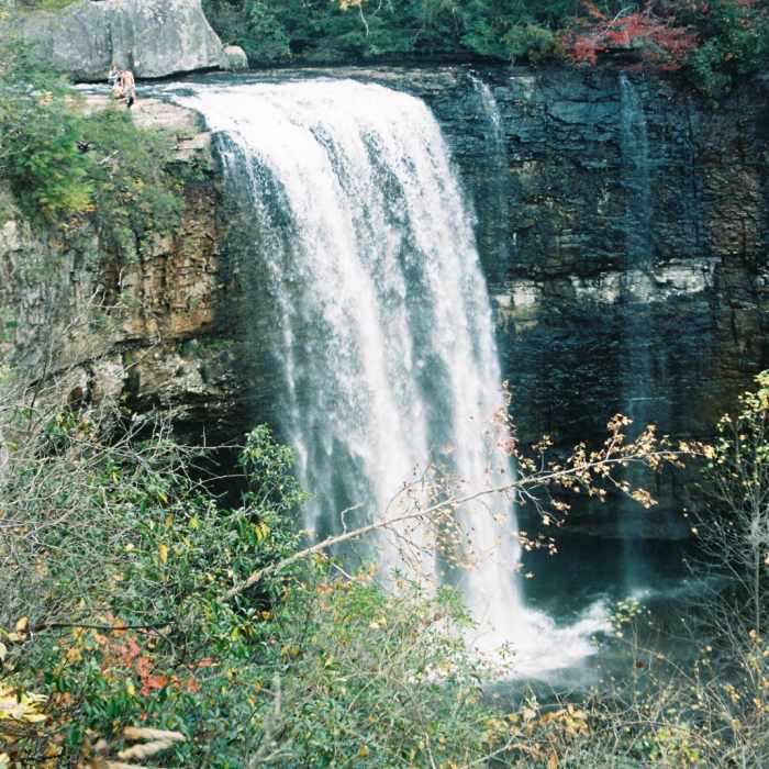 Near Lula Lake Land Trust: Middle Trail Near Lula Lake Land Trust: Middle Trail
