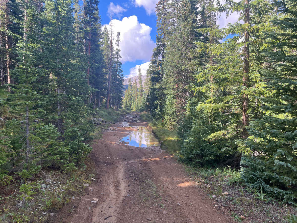 Pains Ridge Road photo 5