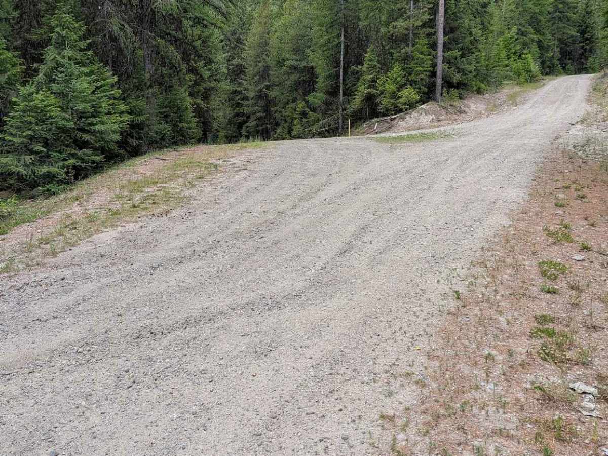 Chickadee Road photo 2