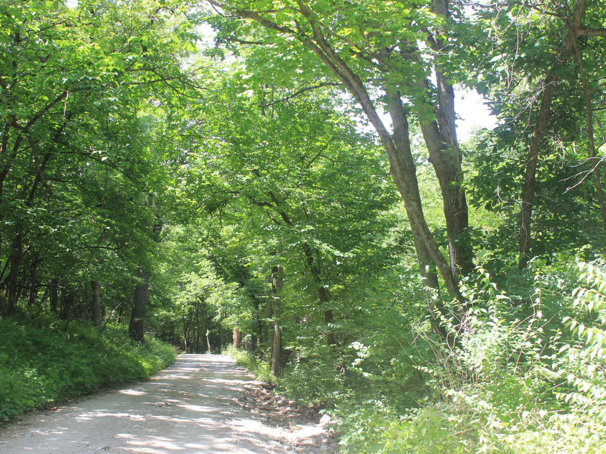 Clark Tower Trail photo 6