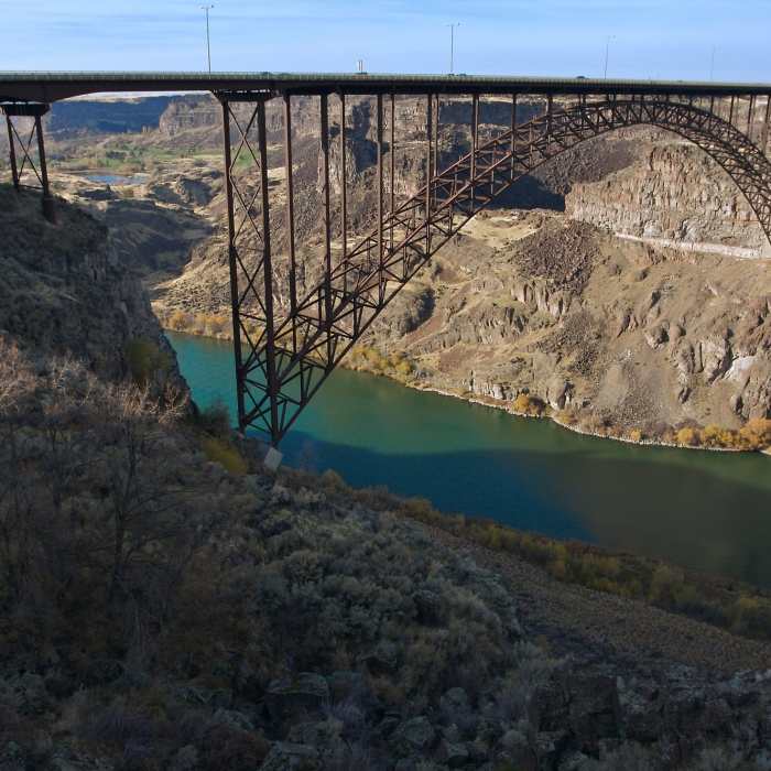 Near Down by the Snake