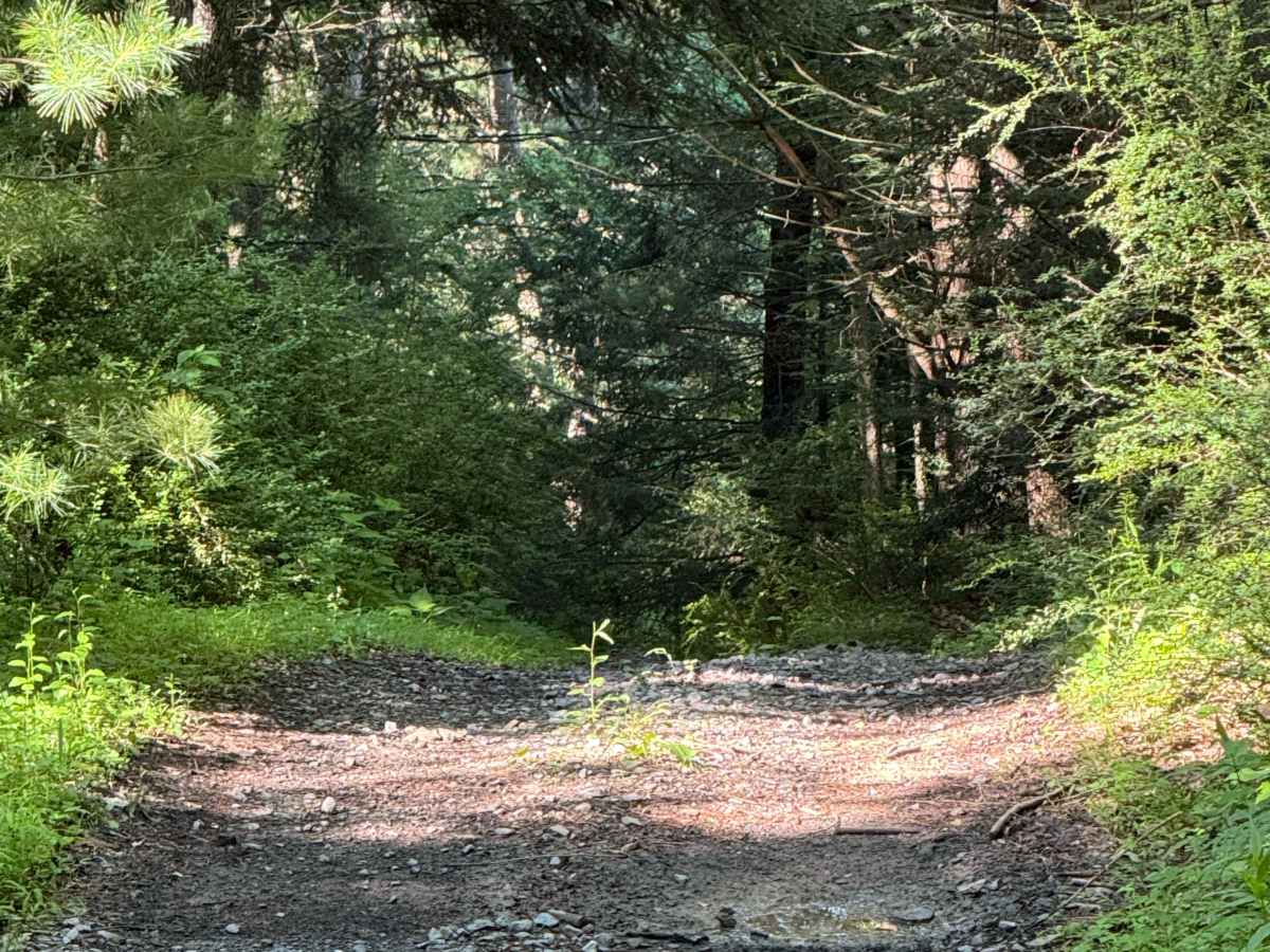 South Access Trail photo 4