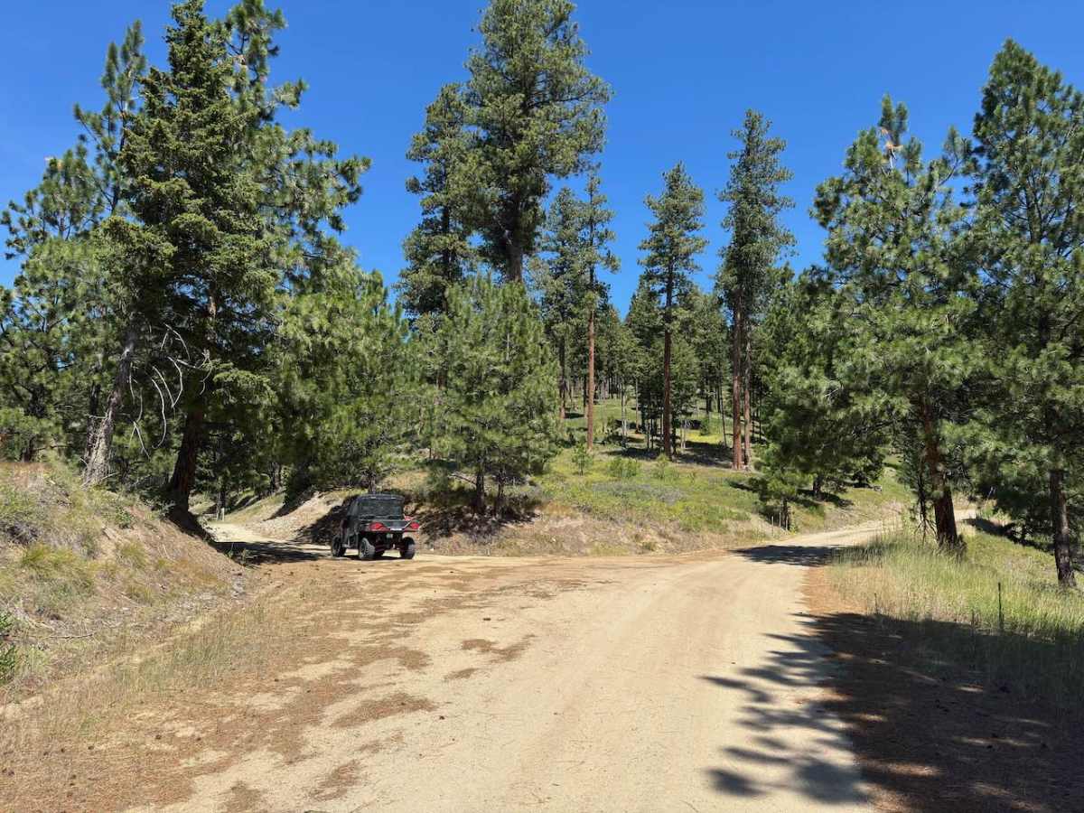 Rattlesnake trail photo
