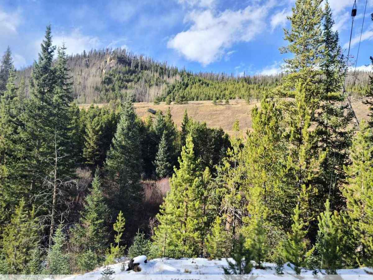 Straight Creek photo 4