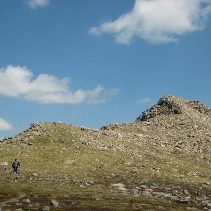 Near Mt. Columbia
