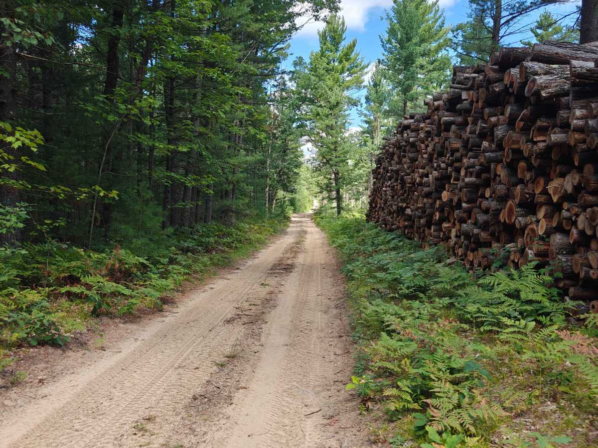 Cut Trail photo 5
