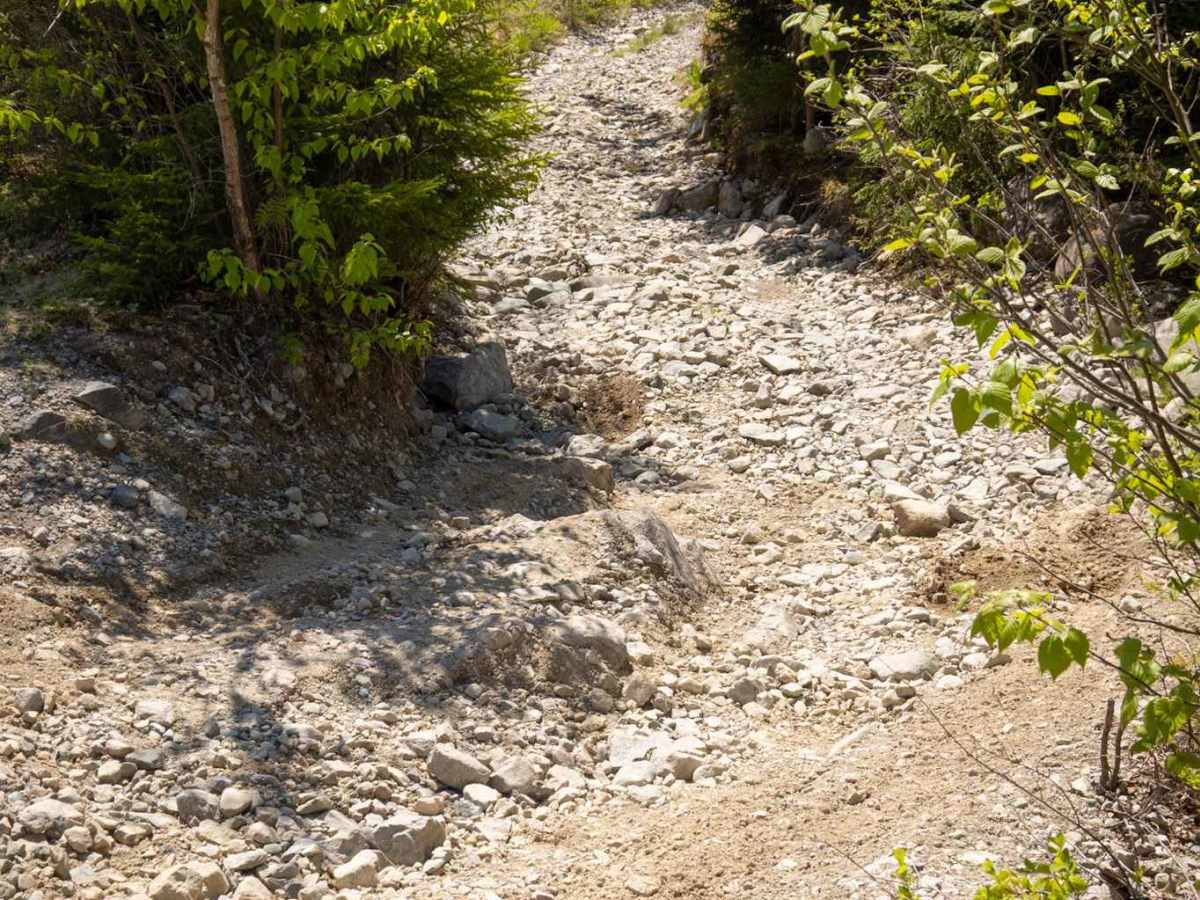 Crossroad Trail photo 4