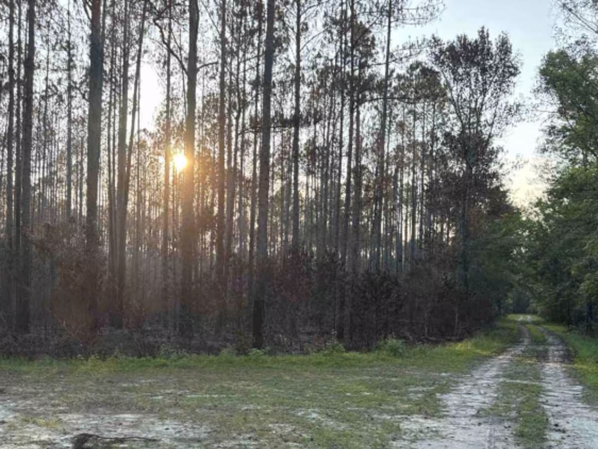 Nick's Camp Road photo 6