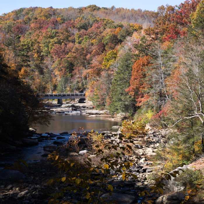 Near Alum Cave Trail Loop Near Alum Cave Trail Loop
