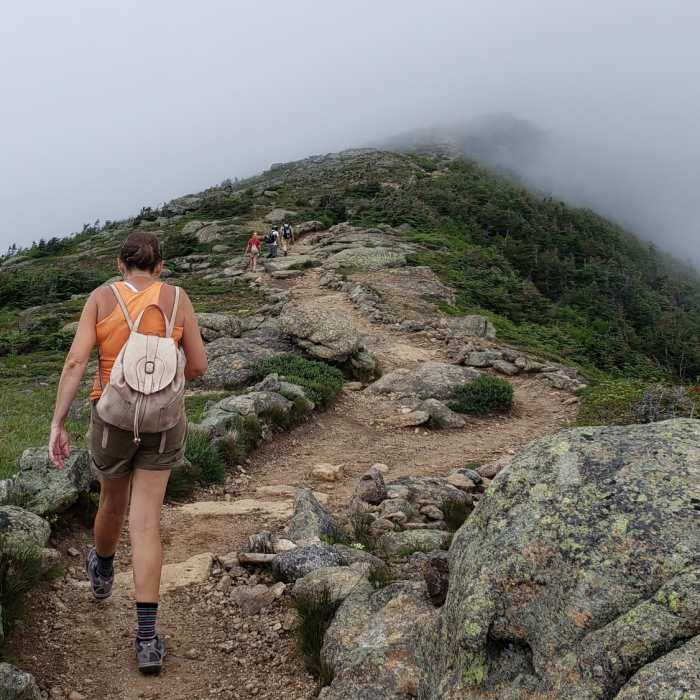 Near Old Bridle Path