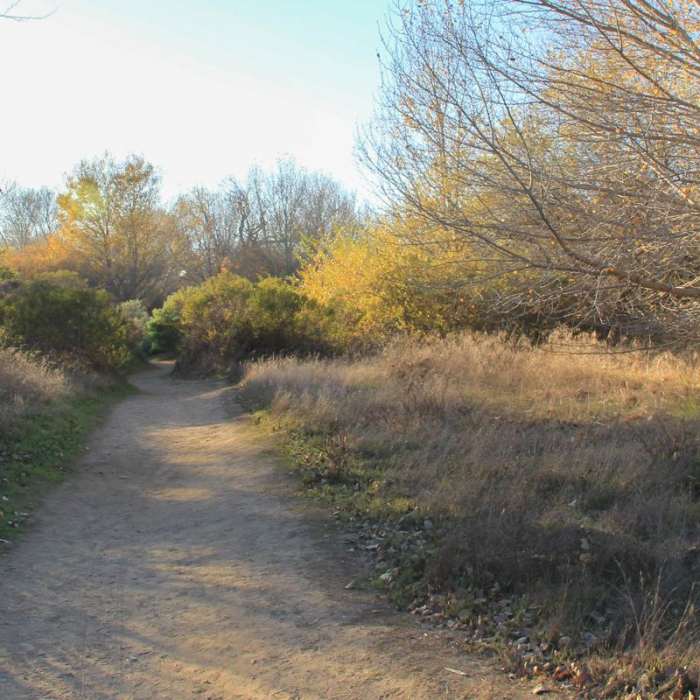 Near Beach Trail Near Beach Trail