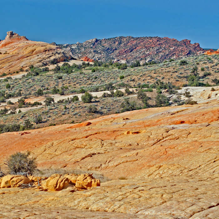 From bottom of Yellow Rock, looking towards castle-like formation to the southwest Near Yellow Rock Trail