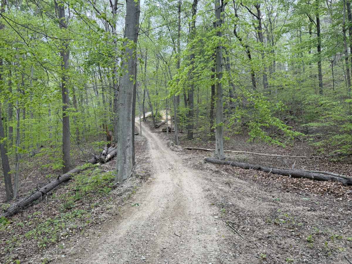 Copperhead Trail photo 6