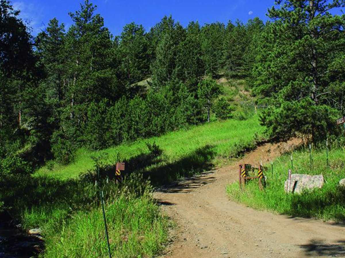 Moody Hill trail photo