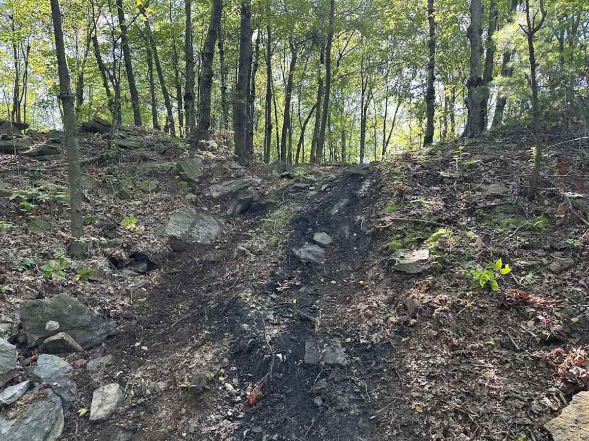 102 Green Spur photo 4