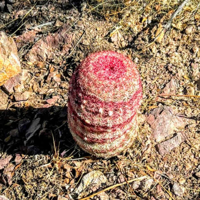 Near Parker Lake to Middle Canyon Loop