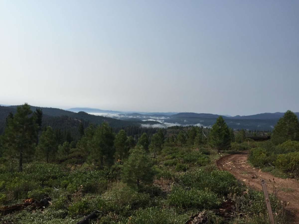 Bear Valley Loop Trail photo 3