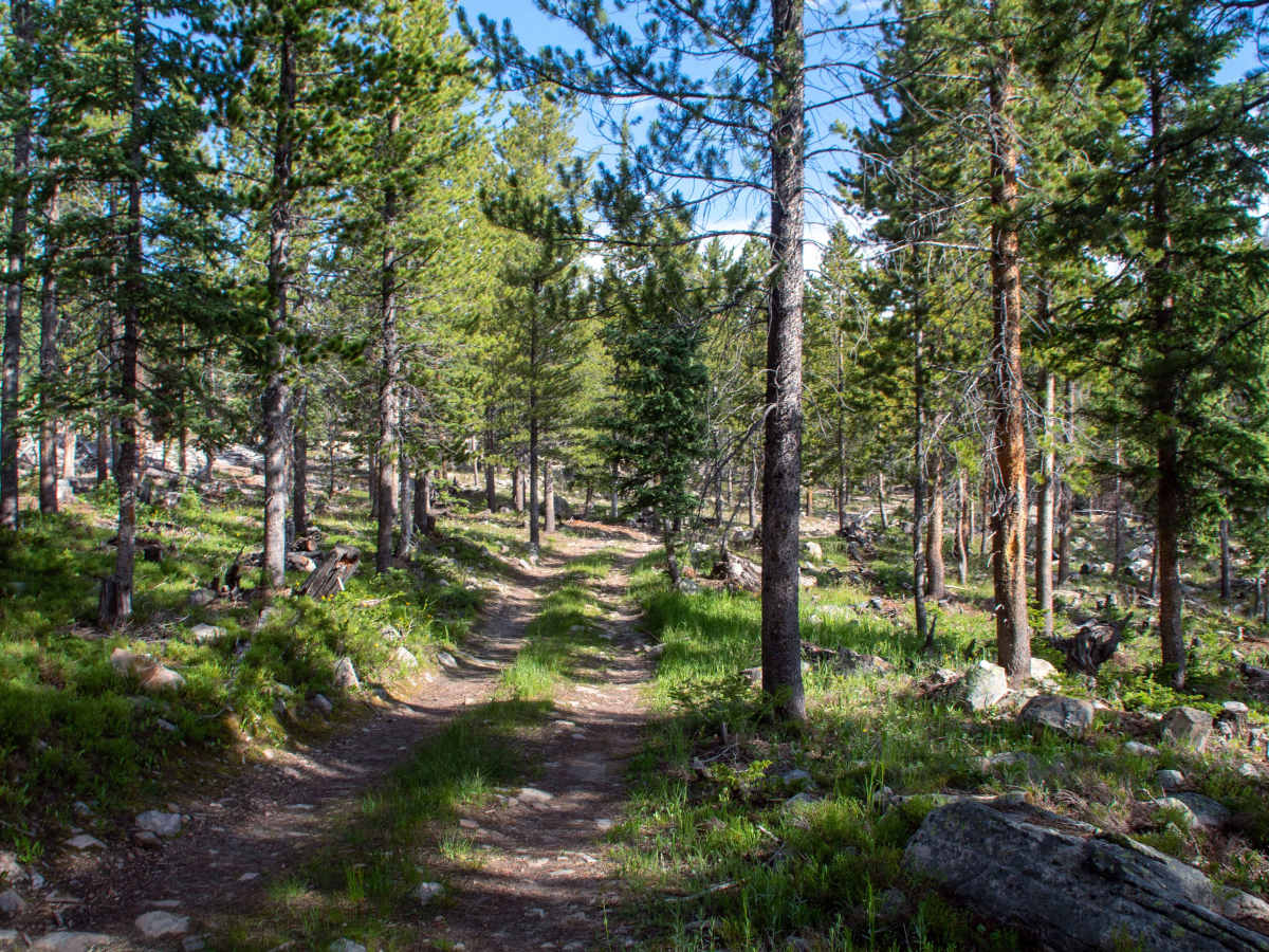 Slate Gorge - FS 80964 trail photo