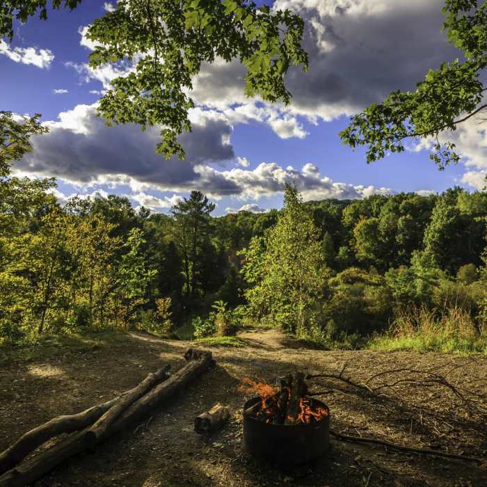 Near Manistee River Trail Loop Near Manistee River Trail Loop