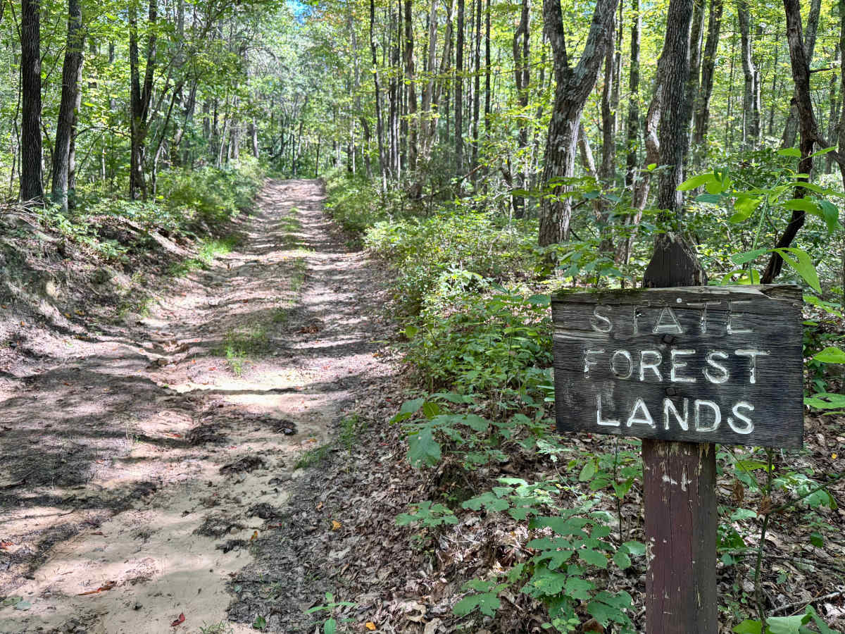Betsy Road trail photo
