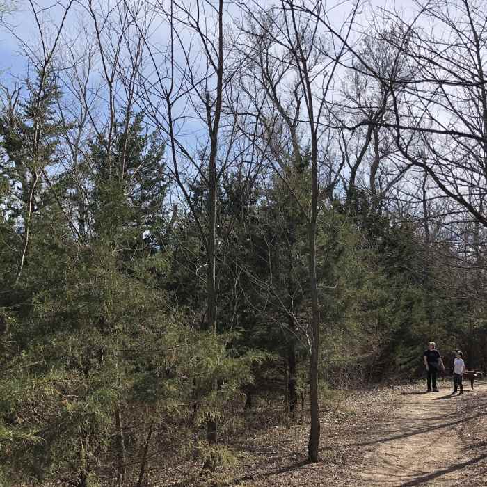 Songbirds were going NUTS in this area. They were very vocal and chatty. Near Cheney Lake Main Trail