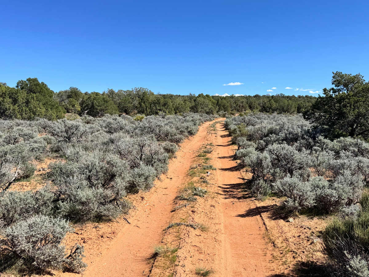 Professor Valley Rim trail photo