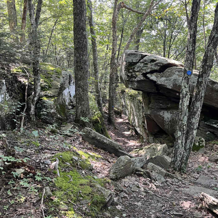 Near Romer - Pleasant - Cross Mountain Traverse