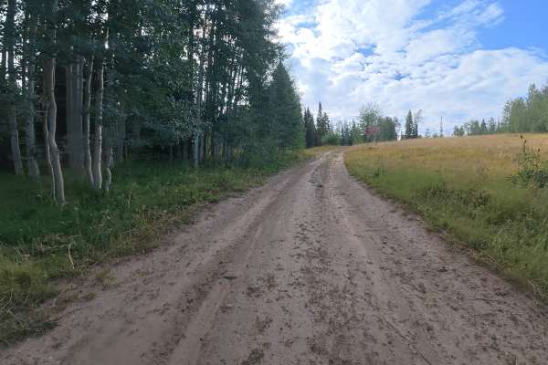 Mansfield Road - FS 830