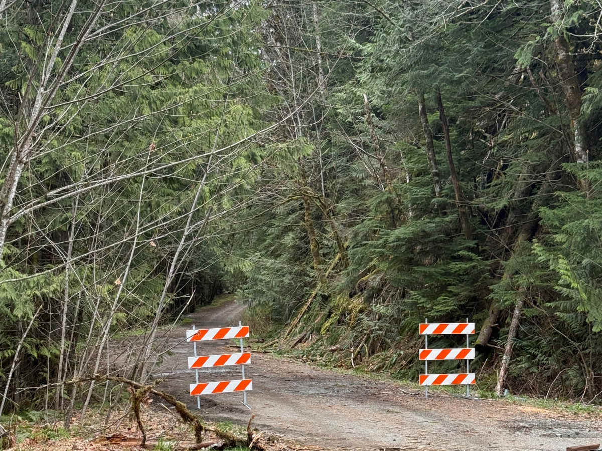 Rapid River - FS 6530 photo 3