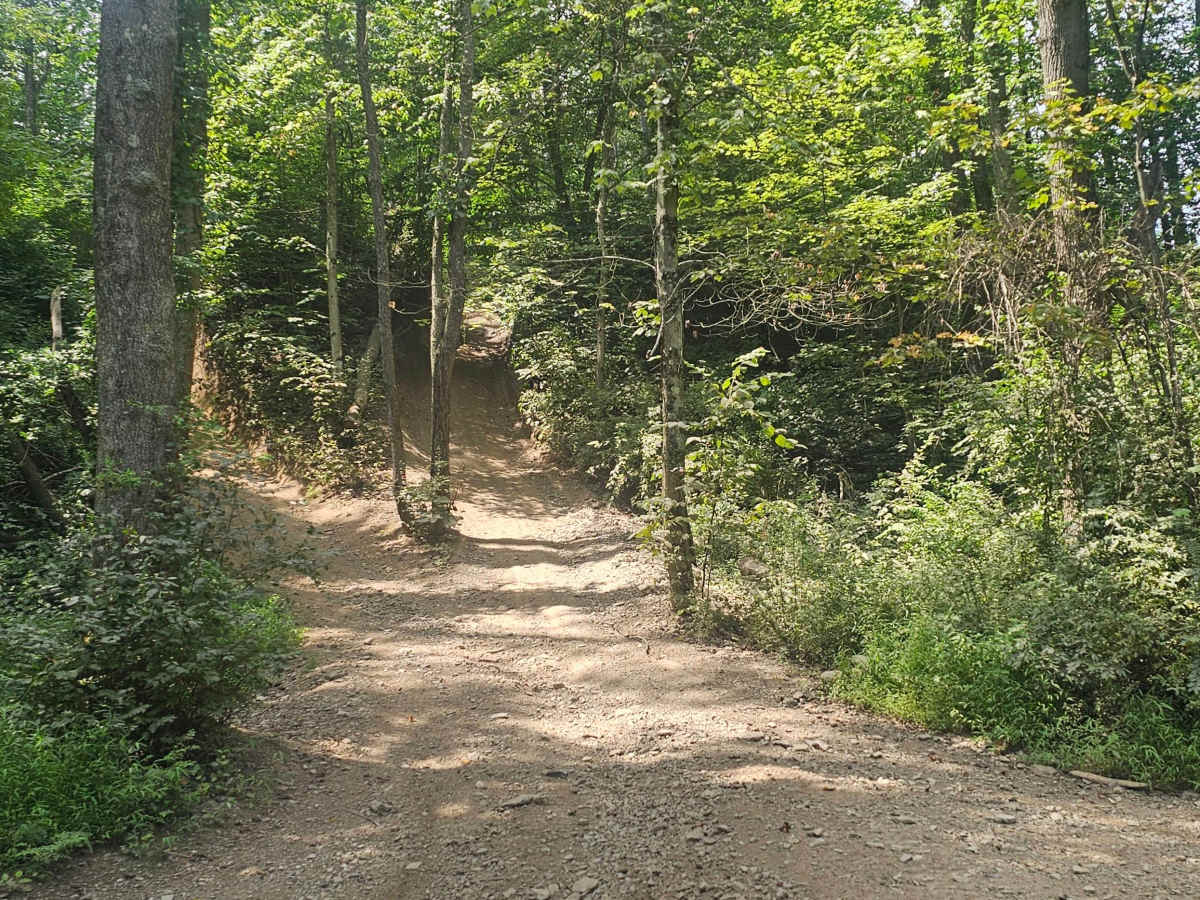 Trail 12 photo 2