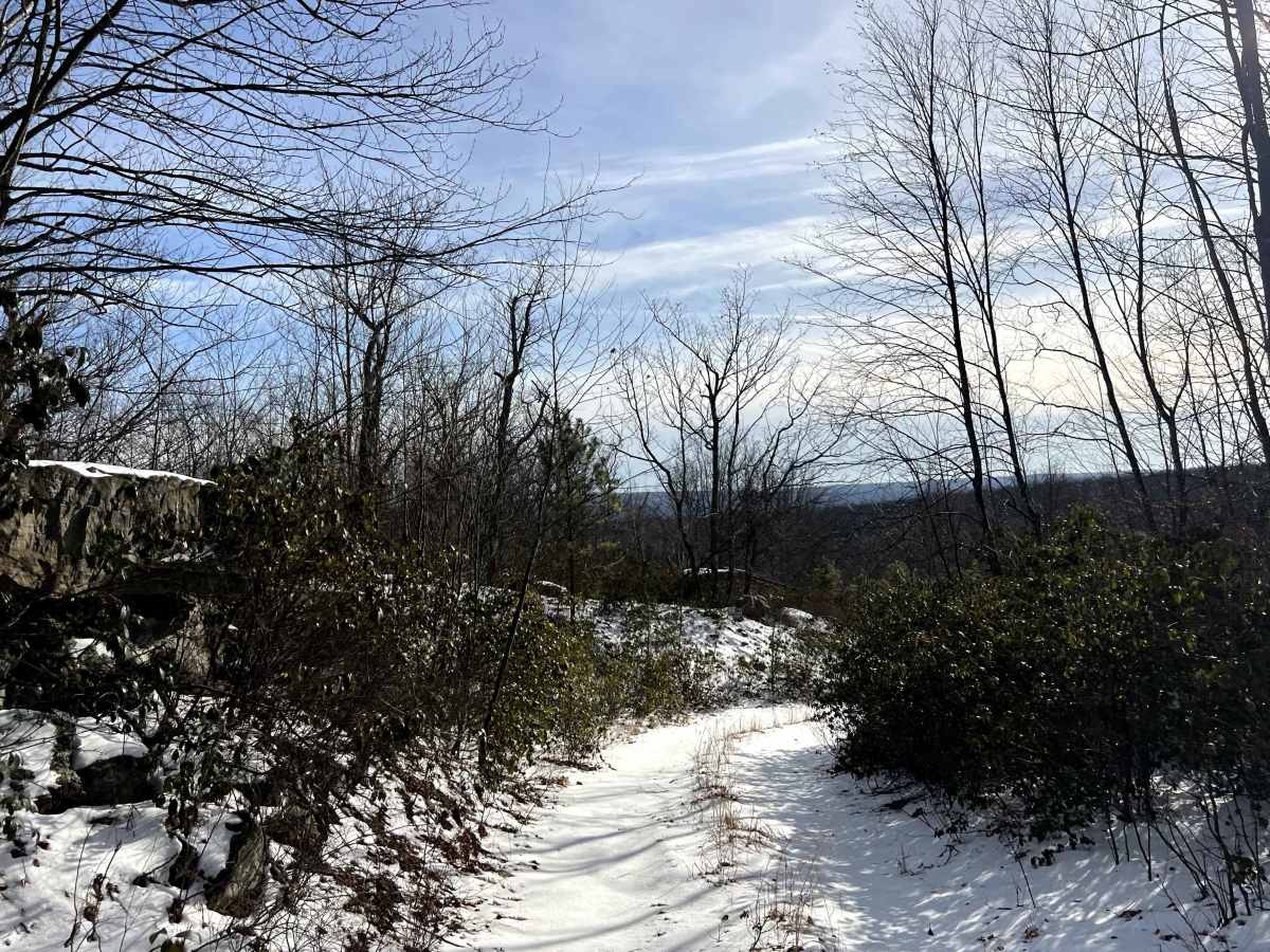 Coffer's Vista Trail photo 6