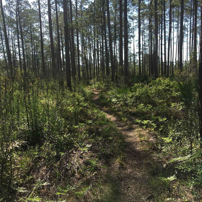 Near Crooked Creek Bike Trail