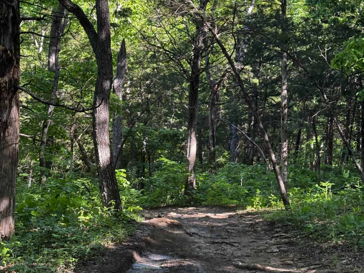 Inner Track 9 photo 5