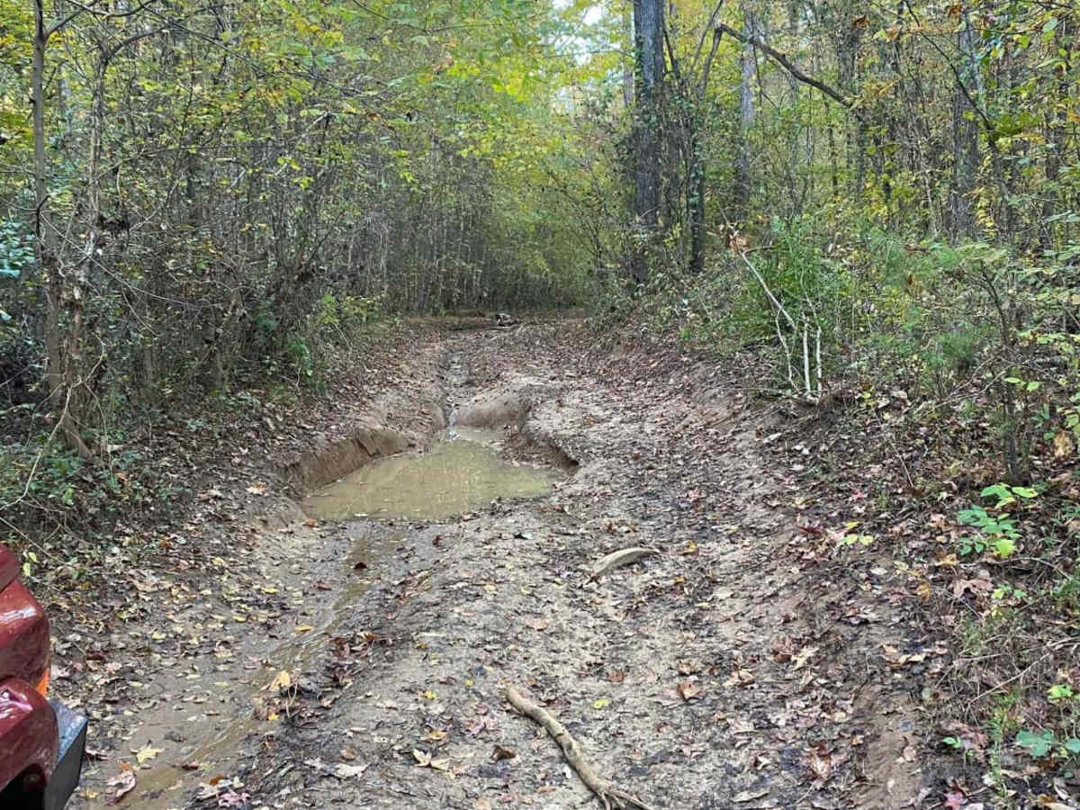 Freeman Road photo 5