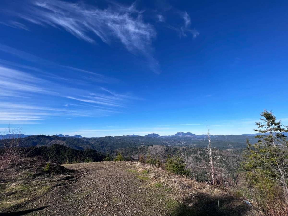 Lost Lake trail photo