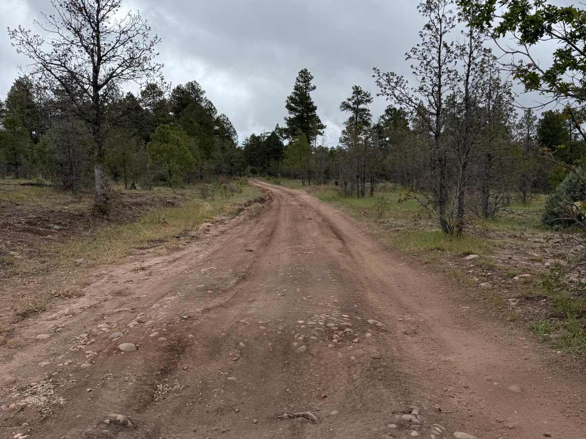 Water Canyon - FS 219 photo 3