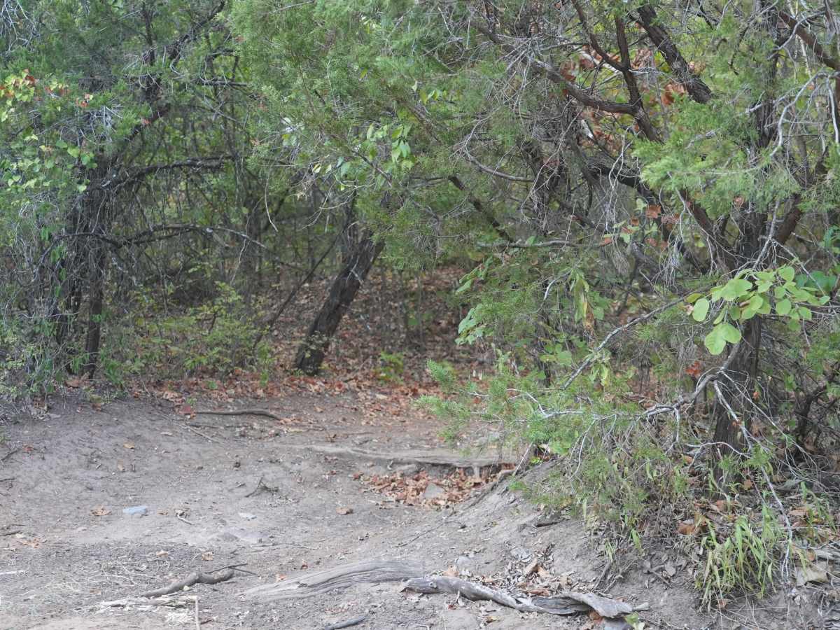 Blue 40 trail photo