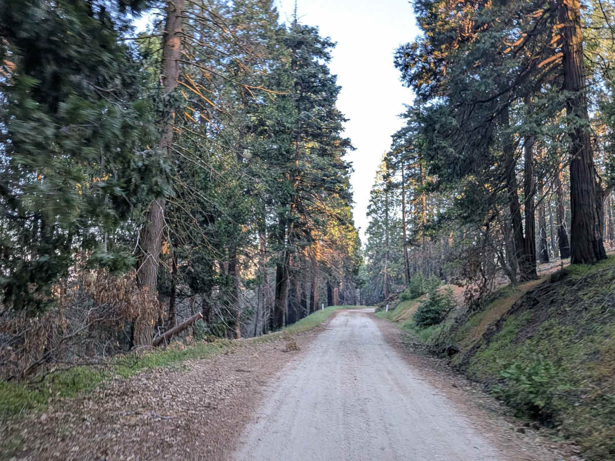 Rancheria Road North - FS 25S15 photo 5