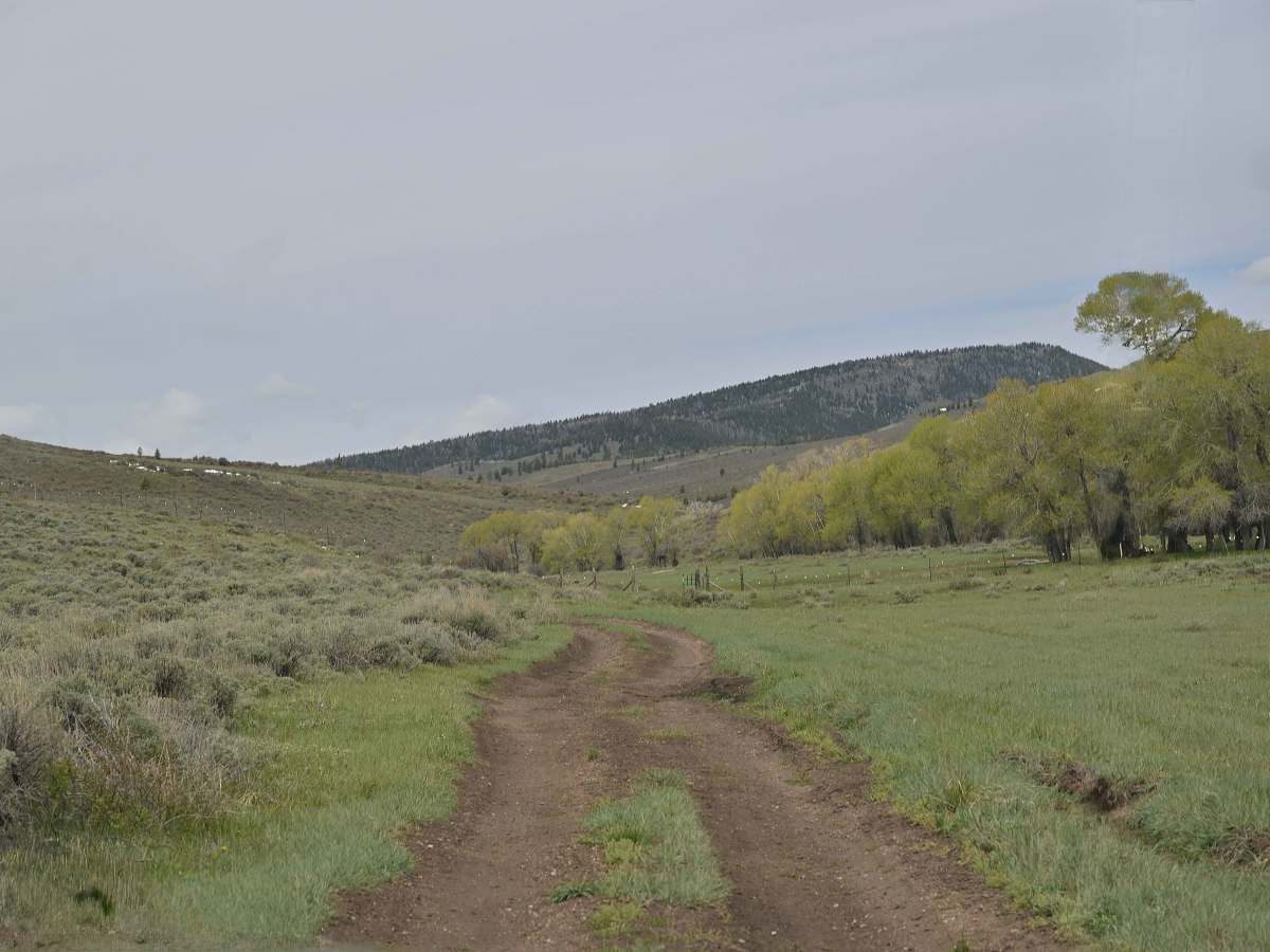 Limestone Ridge/FR10257 photo 5