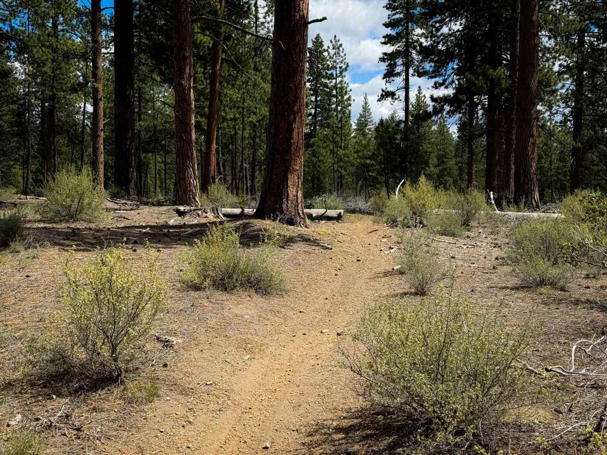 Trail 19   photo 6