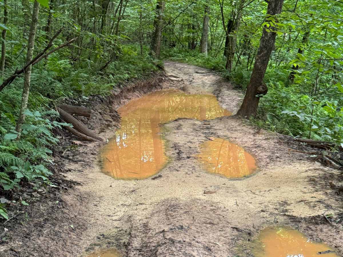 Trail 4 photo 5
