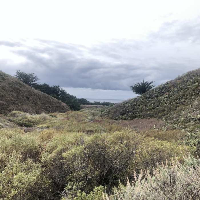 Near Rocky Ridge Trail