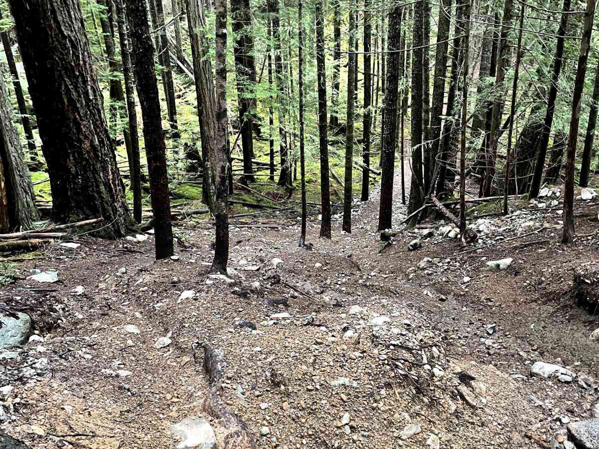Widowmaker West trail photo