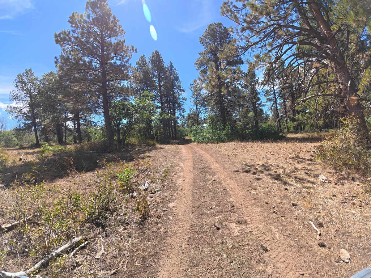 U C Creek Road photo 2