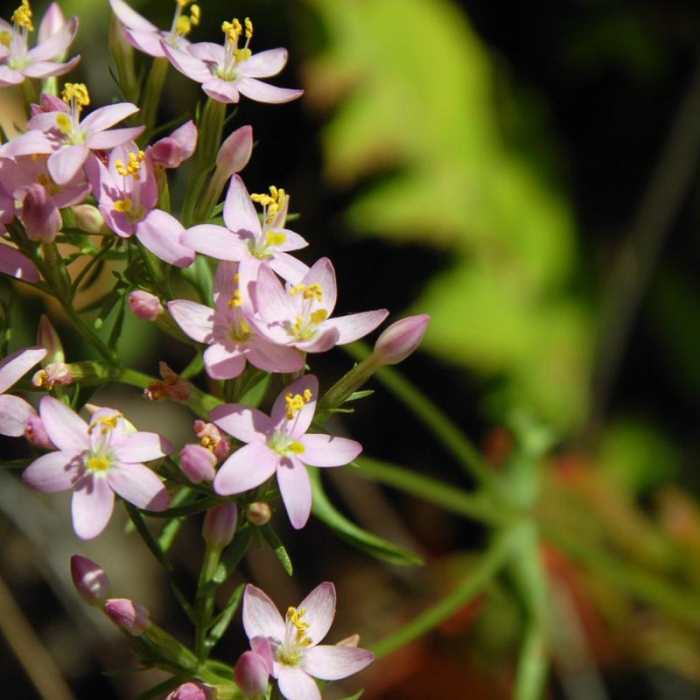 Near Coldwater Lake Hiking Trail