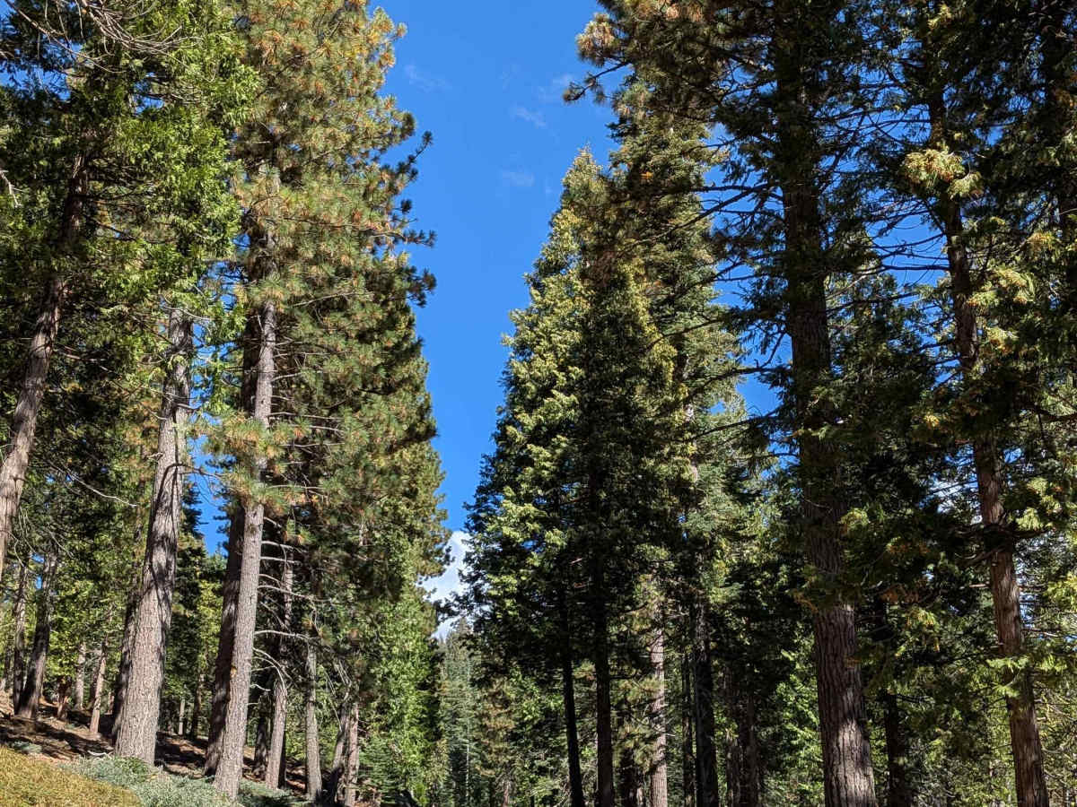 FS 5N40Y trail photo