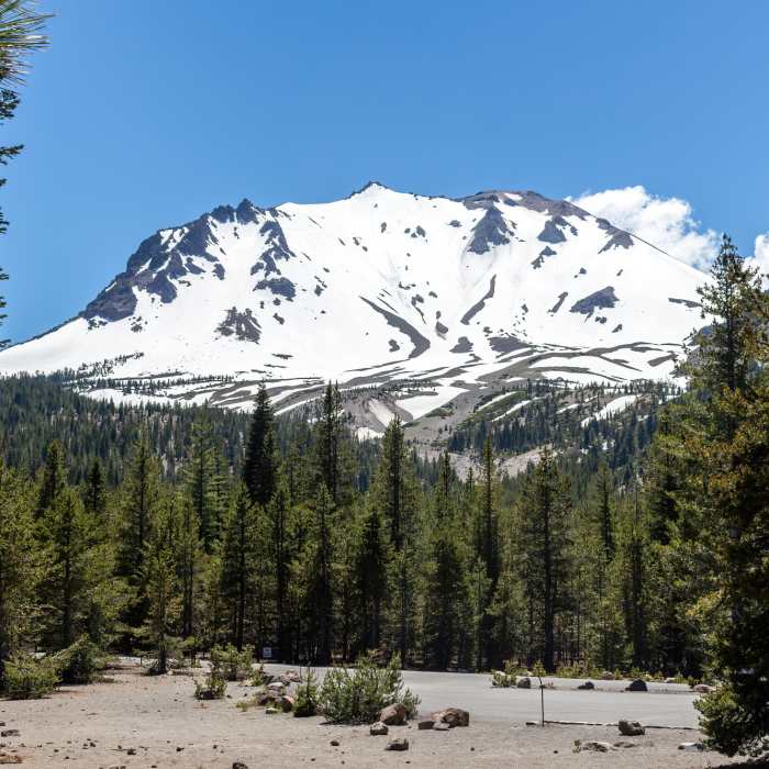 Near Devastated Area Trail