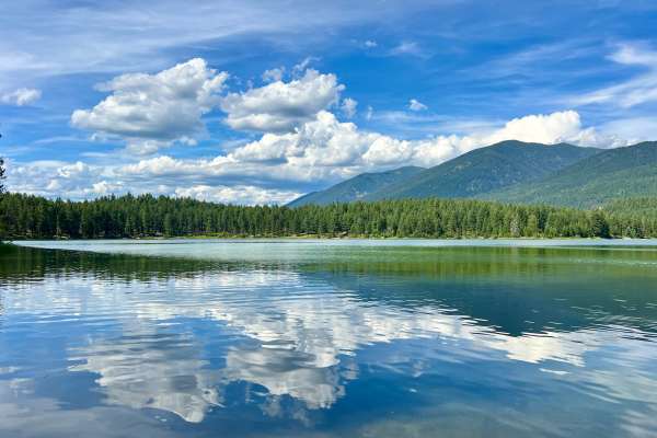 Loon Lake Recreation Area Trail